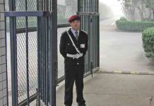 museum-security-guard